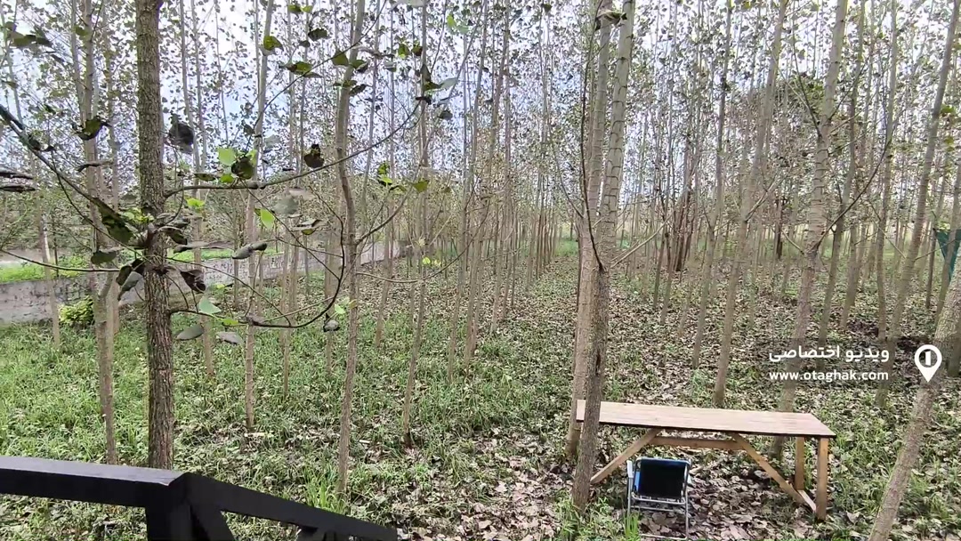 تصویر 2 - کلبه بیج باغ (سقف شیشه ای) در رشت