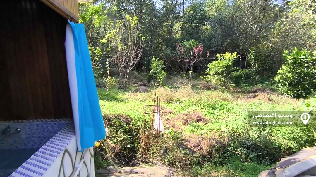 تصویر 2 - کلبه جنگلی ماهان در شیرگاه