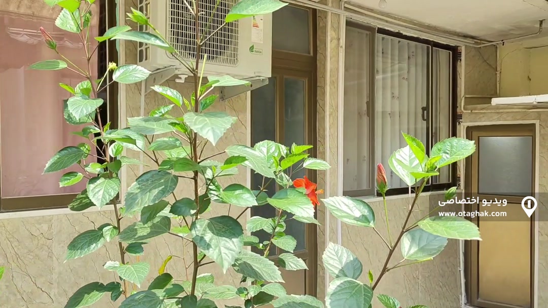 تصویر 2 - خانه مبله کوثر (5) در ساری