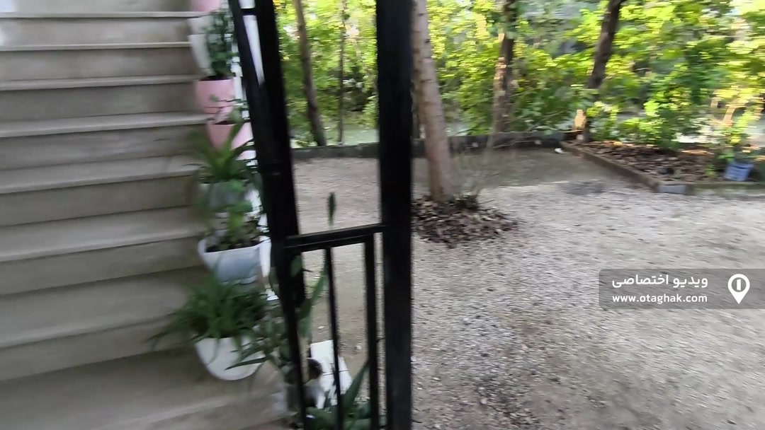 تصویر 2 - ویلا امیرعلی (۱) در چالوس