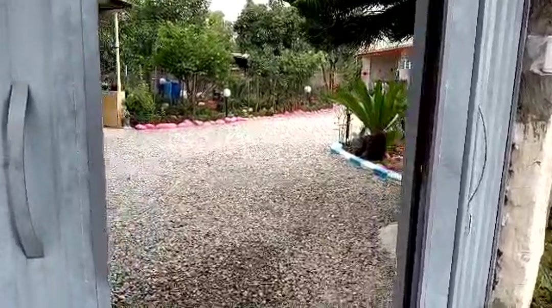 تصویر 2 - ویلا پدر بزرگ در رامسر