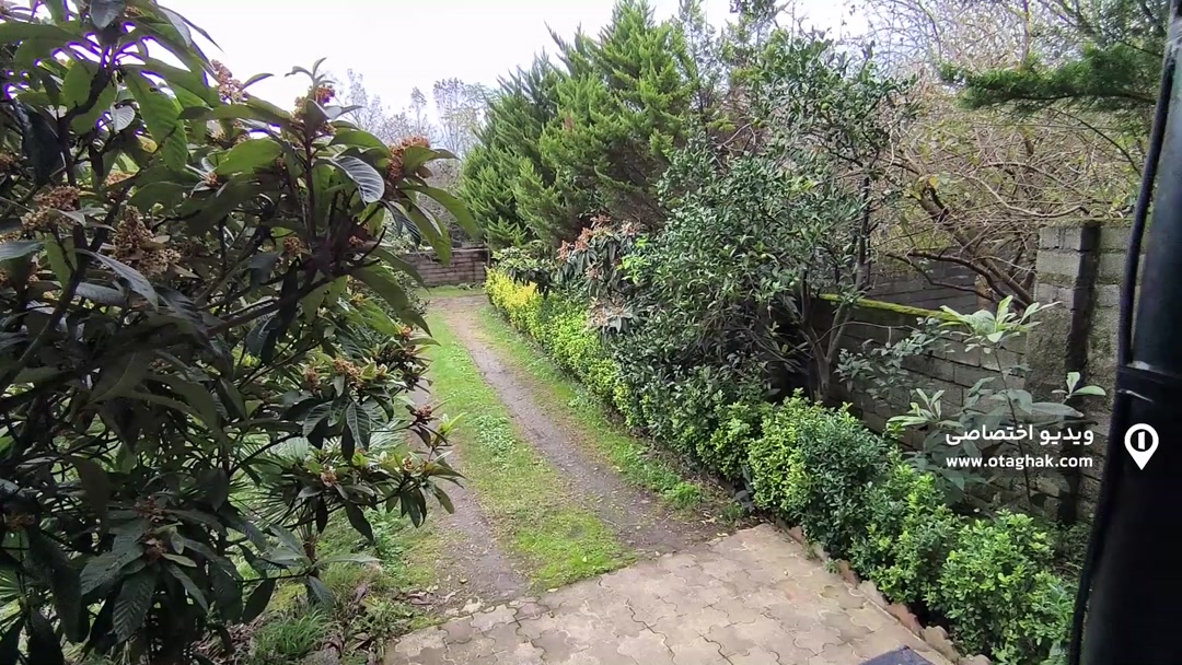 تصویر 2 - ویلا جنگلی تمشک در رامسر