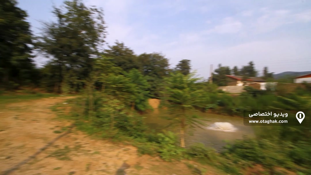تصویر 2 - کلبه سوئیسی برکه (۵) در سوادکوه