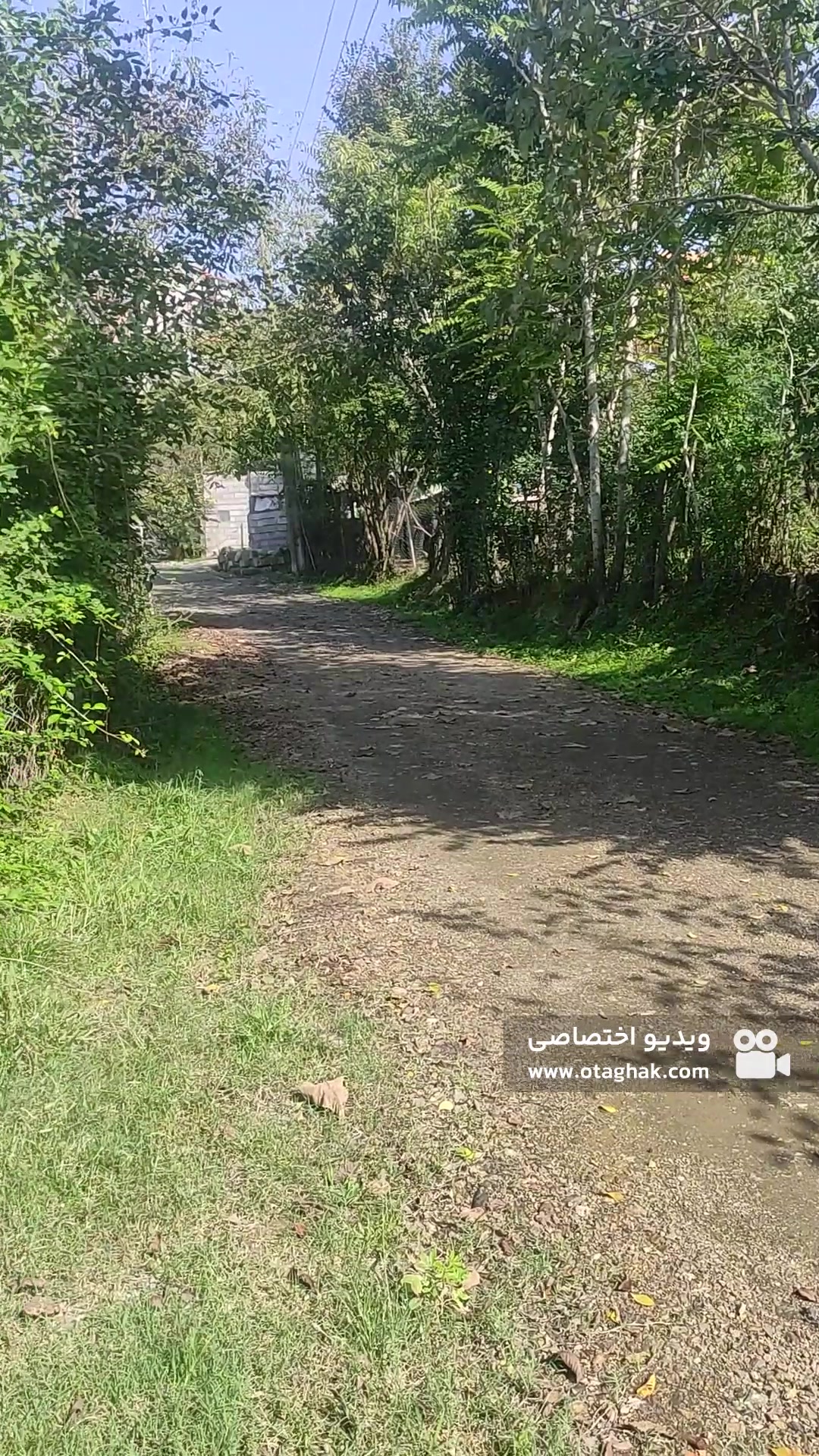 تصویر 2 - ویلا  قَلِک در شیرگاه