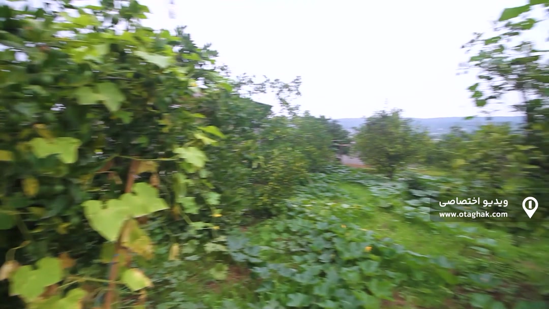 تصویر 2 - کلبه چوبی سرای فردوس (1) در شیرگاه